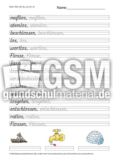 DSS_2S_Bu_los_Nr_01.pdf